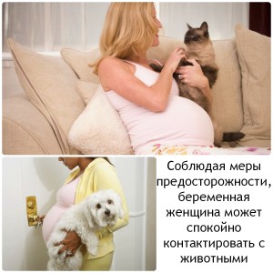 Осторожно обращайтесь с домашними животными