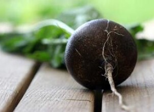 Редька при беременности: советы по употреблению корнеплода
