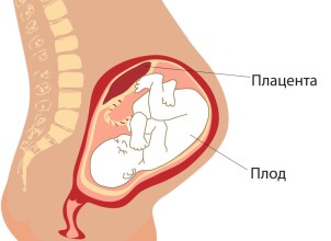 Чем опасна низкая плацентация во время беременности