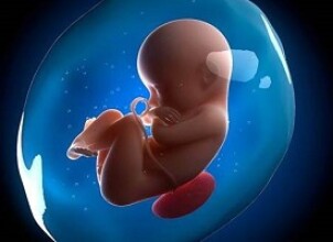 Нормы амниотического индекса при беременности, патологии околоплодных вод
