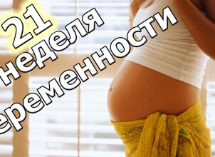 Двадцать первая неделя беременности