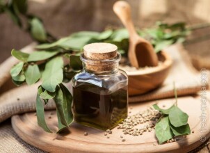 Как можно использовать масло из семян конопли?