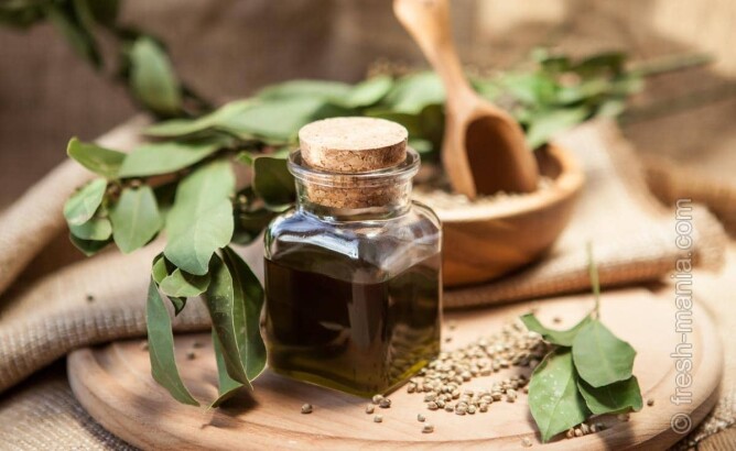 Как можно использовать масло из семян конопли?