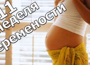 Одиннадцатая неделя беременности