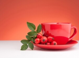 Польза, вред и особенности применения шиповника при беременности
