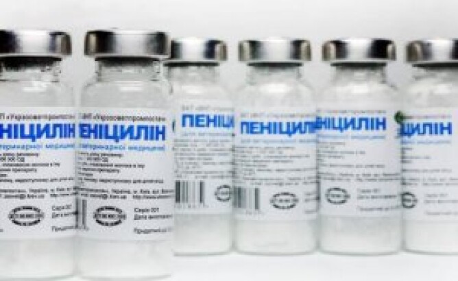Безопасен ли пенициллин при беременности?