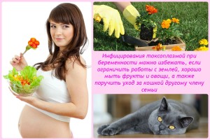 Токсоплазмоз при беременности
