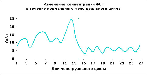 фолликулостимулирующий гормон