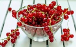 компот из смородины